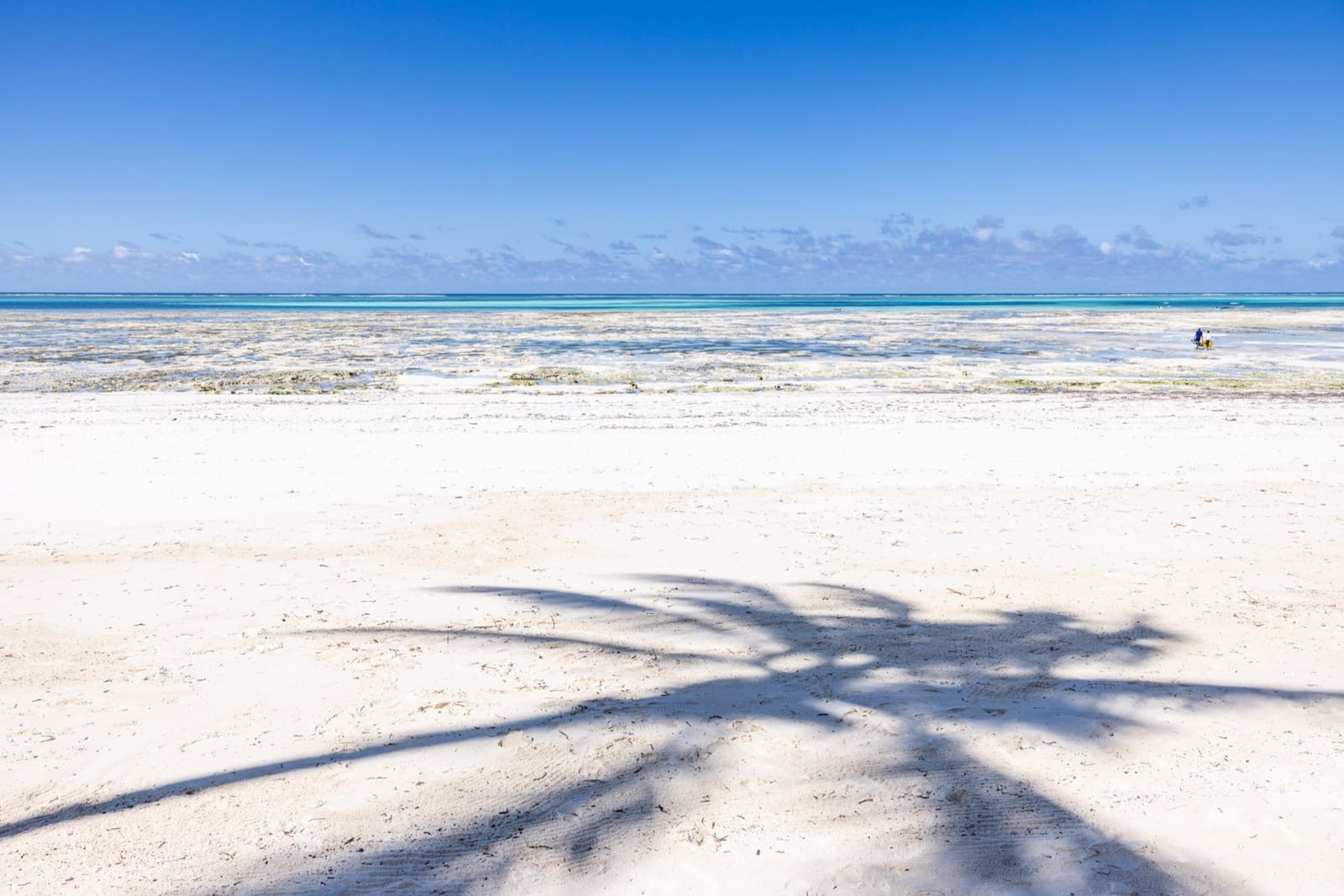 The beach in front of Matlai at low tide, palm shadow across white sand