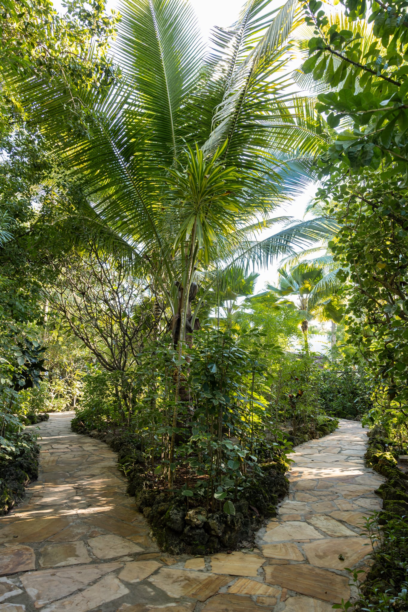 A coral-stone path through the garden between the houses.