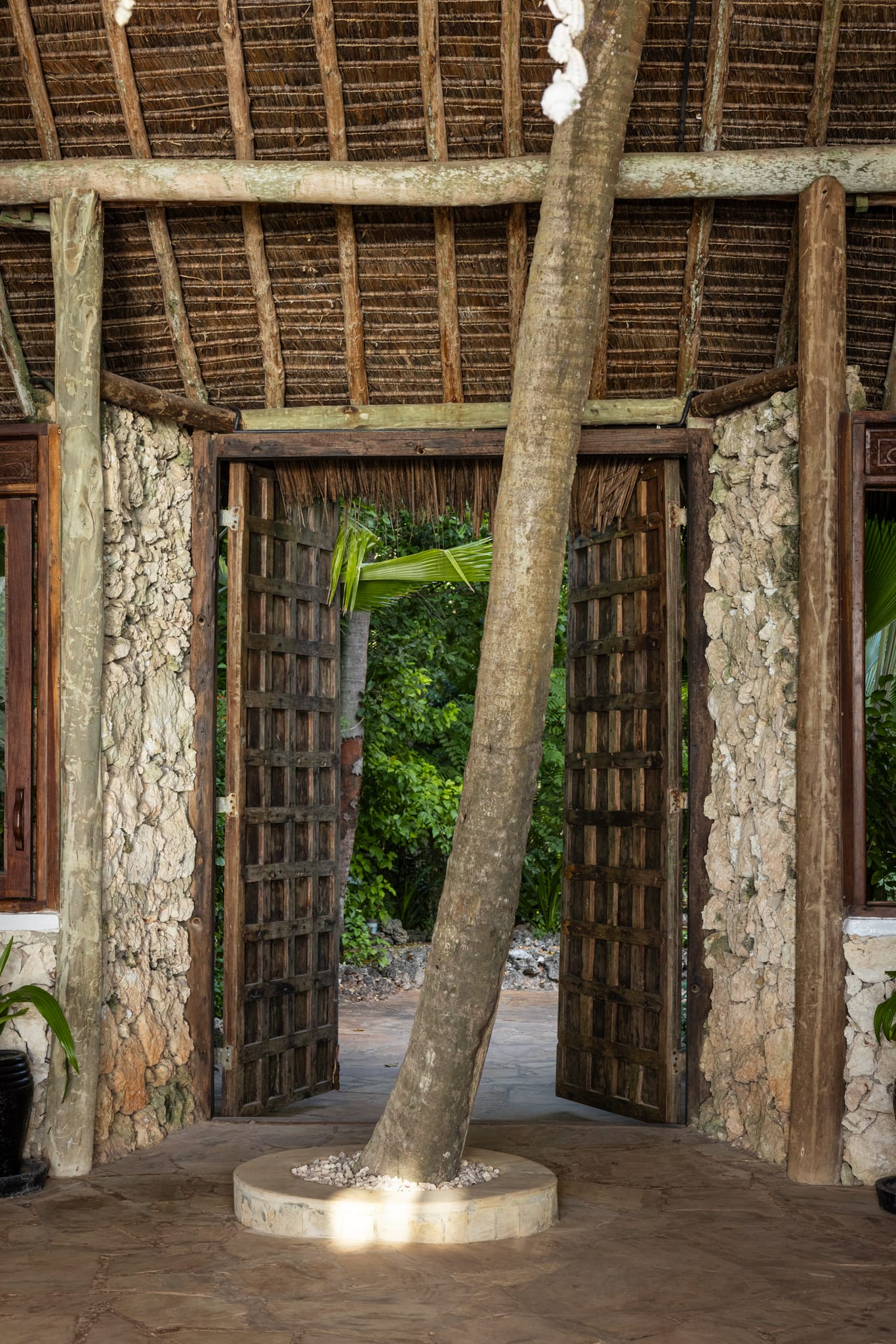 Open wooden doors at Asili House with a palm growing through the entrance