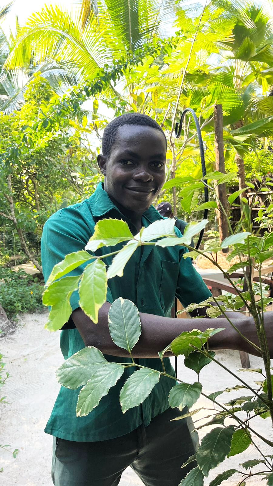 gardener cleaning the bush