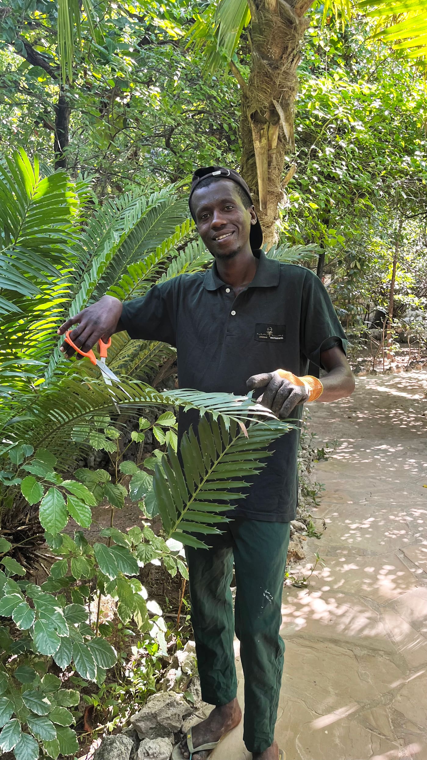 gardener cutting the branches