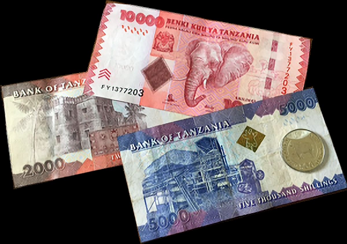 Tanzanian Shillings