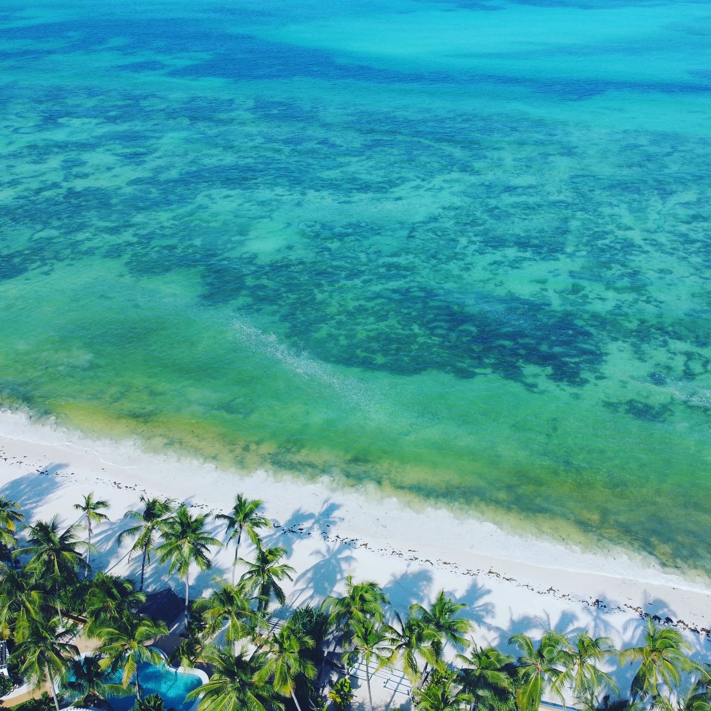 Tanzania Safari from Zanzibar: Combining Beach and Safari