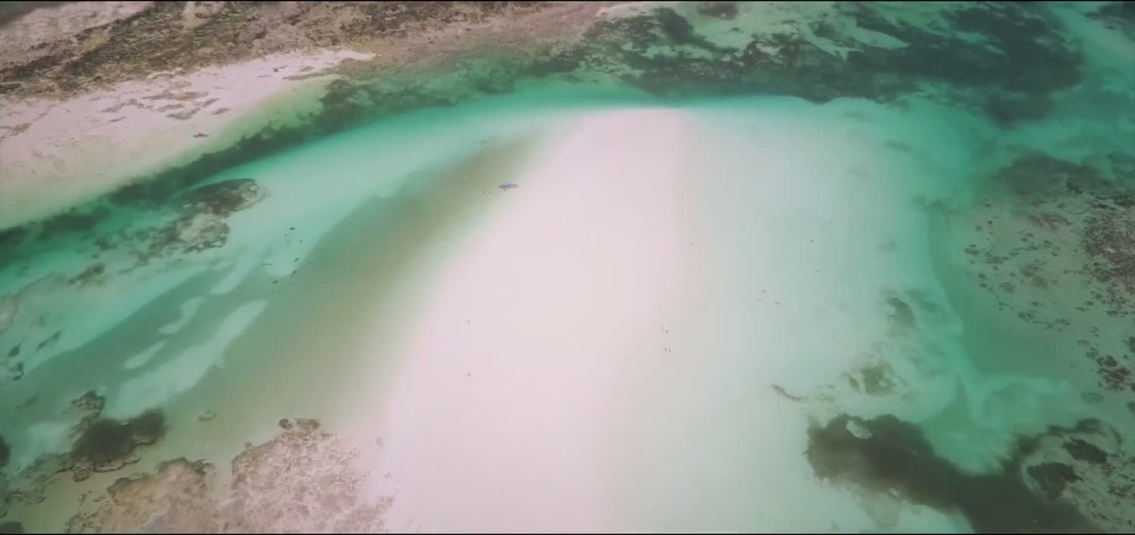 The sandbank off Michamvi Pingwe from the air, a still from the Matlai film