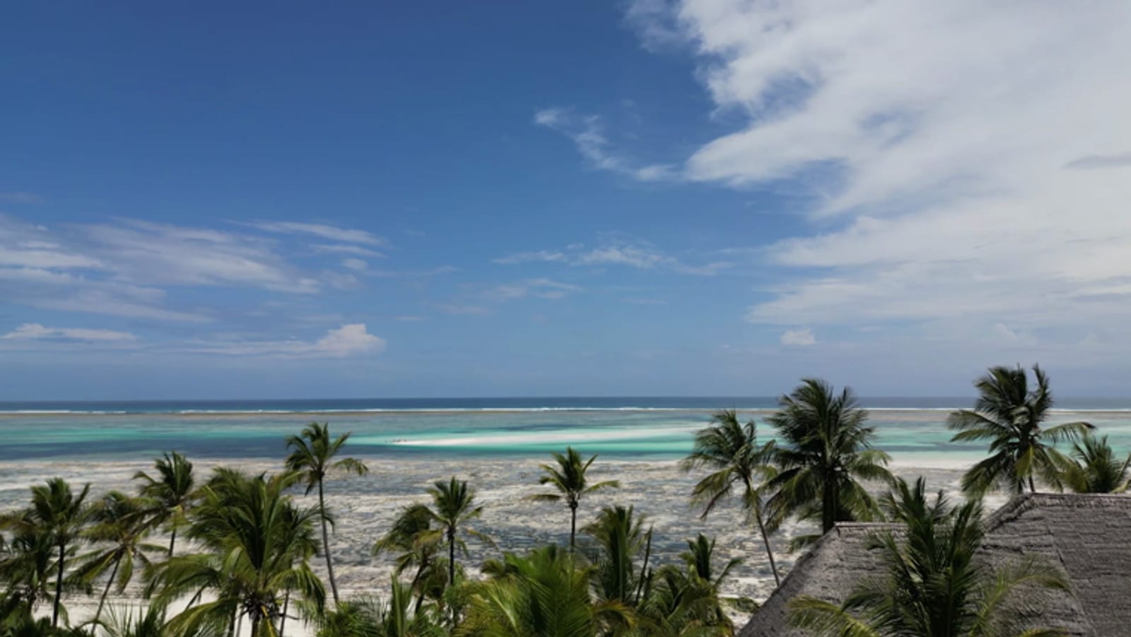 A drone rising through palm canopy at Matlai and out over the reef to the sandbank off Michamvi Pingwe