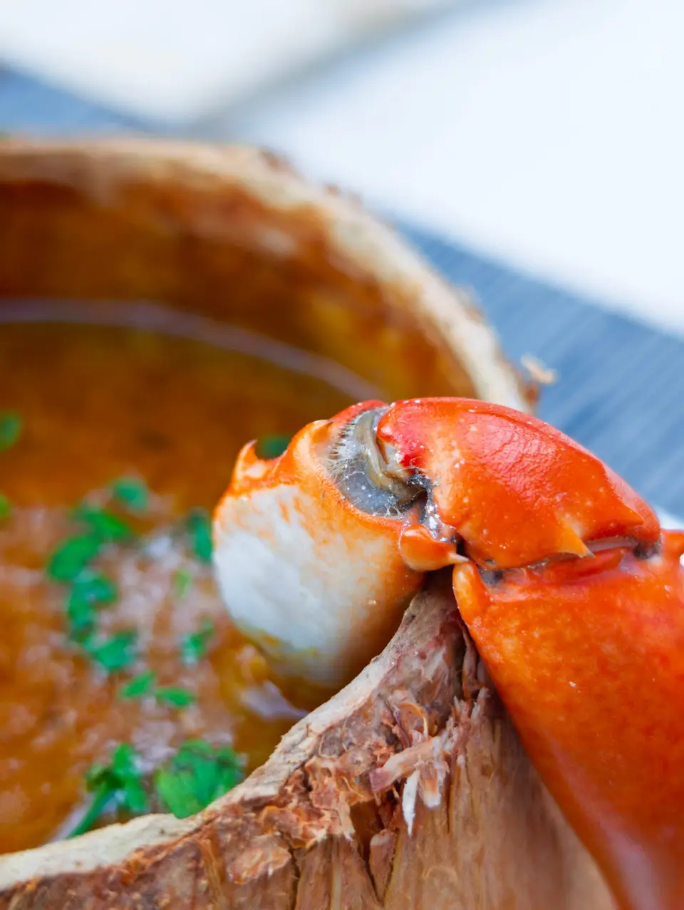 Kokosnuss-Krabbensuppe, serviert in einer Kokosnuss mit Krabbenschere, im Zatiny Restaurant, Boutique Hotel Matlai Sansibar.
