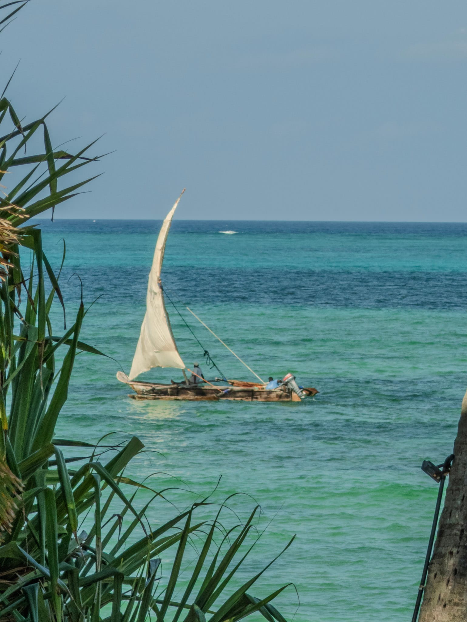 A ngalawa outrigger sailing off Michamvi at sunset